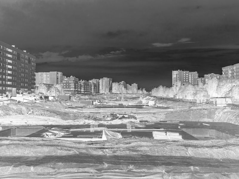 © Aleksandra Nowysz - Image from the BUG photography project