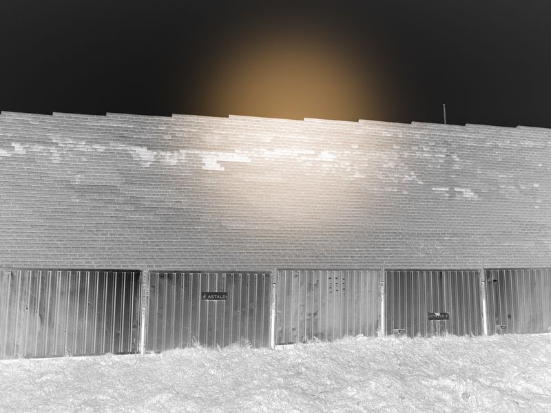 © Aleksandra Nowysz - Image from the BUG photography project