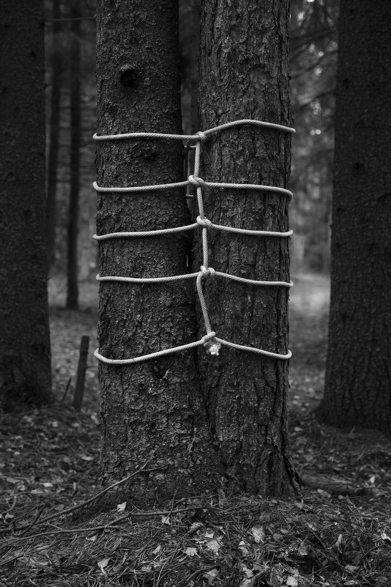 © Anna Reivilä - Image from the Bond photography project