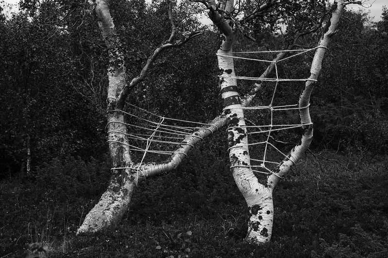 © Anna Reivilä - Image from the Bond photography project