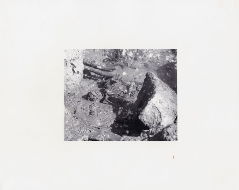 © Deanna Pizzitelli - Mud, 2017, Toned Silver Gelatin Print © Deanna Pizzitelli / Courtesy of Stephen Bulger Gallery