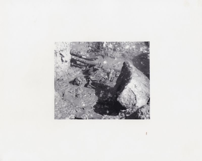 © Deanna Pizzitelli - Mud, 2017, Toned Silver Gelatin Print © Deanna Pizzitelli / Courtesy of Stephen Bulger Gallery