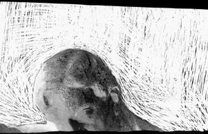 Koža, Women & Other Stories