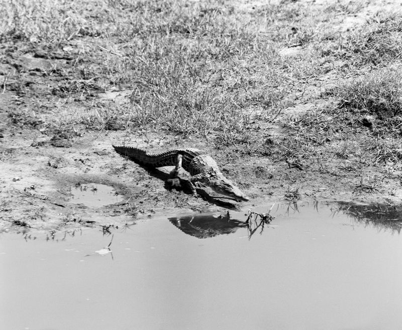 © Deanna Pizzitelli - Image from the Archive 24 photography project