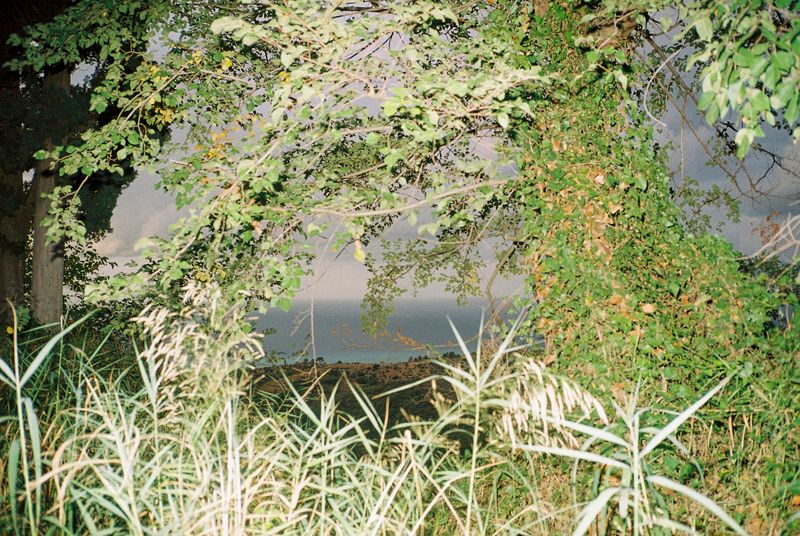 © Deanna Pizzitelli - Messina, III, 2023, C-Print from 35 mm Negative © Deanna Pizzitelli / Courtesy of Stephen Bulger Gallery