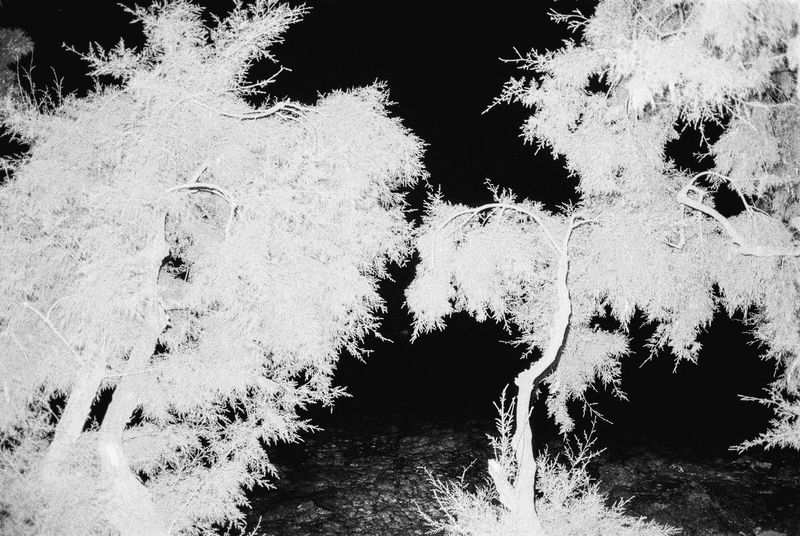 © Deanna Pizzitelli - Croatia, I, 2023, Toned Silver Gelatin Print from 35 mm Negative © Deanna Pizzitelli / Courtesy of Stephen Bulger Gallery