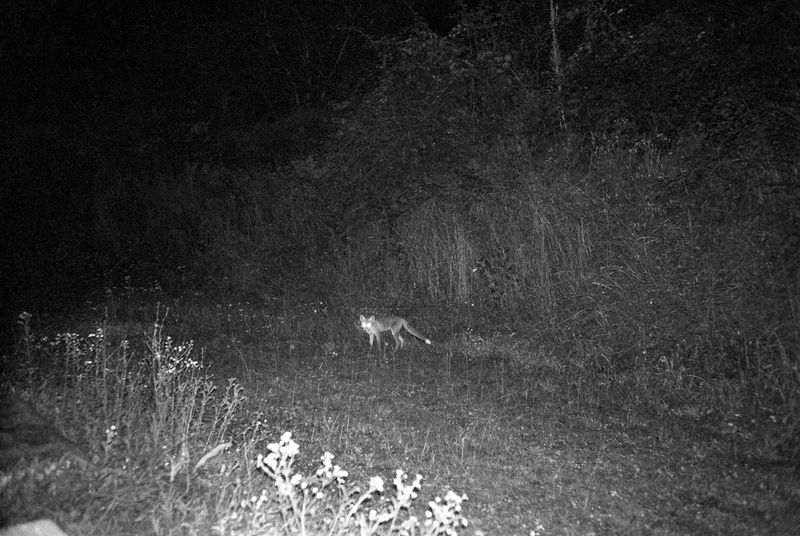 © Deanna Pizzitelli - Image from the Archive 24 photography project