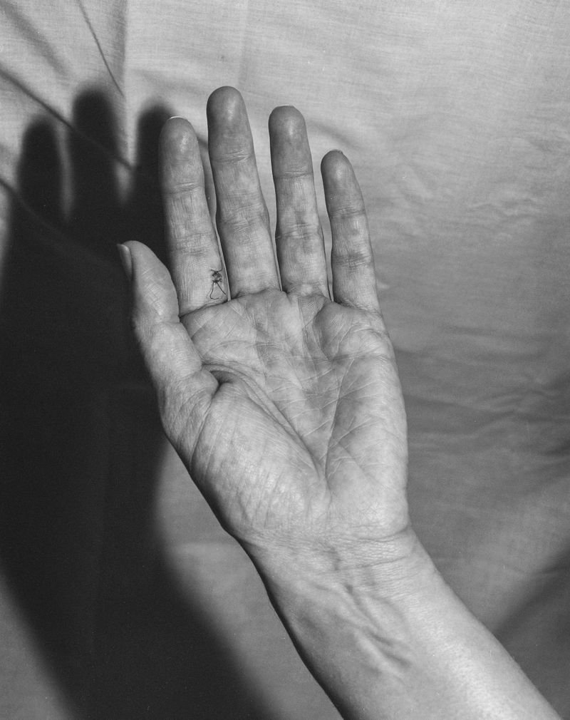 © Deanna Pizzitelli - Image from the Archive 24 photography project