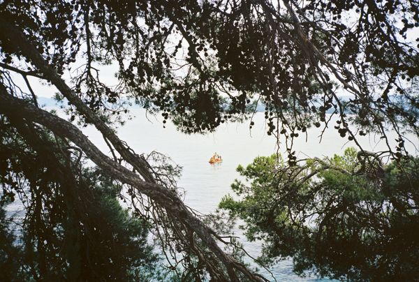 © Deanna Pizzitelli - Image from the Archive 24 photography project