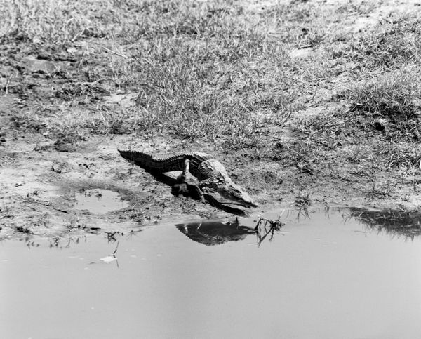 © Deanna Pizzitelli - Image from the Archive 24 photography project