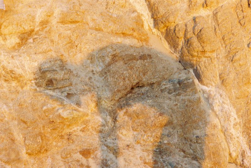 © Deanna Pizzitelli - Skiathos, I, Chromogenic print from 35 mm negative film, 2025 © Deanna Pizzitelli — courtesy of Stephen Bulger Gallery