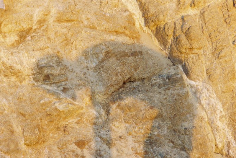 © Deanna Pizzitelli - Skiathos, I, Chromogenic print from 35 mm negative film, 2025 © Deanna Pizzitelli — courtesy of Stephen Bulger Gallery