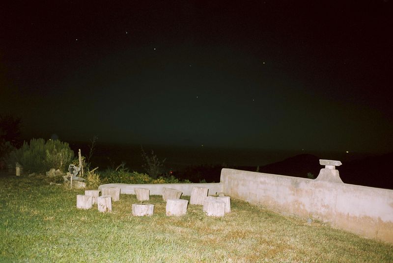 © Deanna Pizzitelli - Portrait, I, Chromogenic print from 35mm cm negative film, 2025 © Deanna Pizzitelli — courtesy of Stephen Bulger Gallery