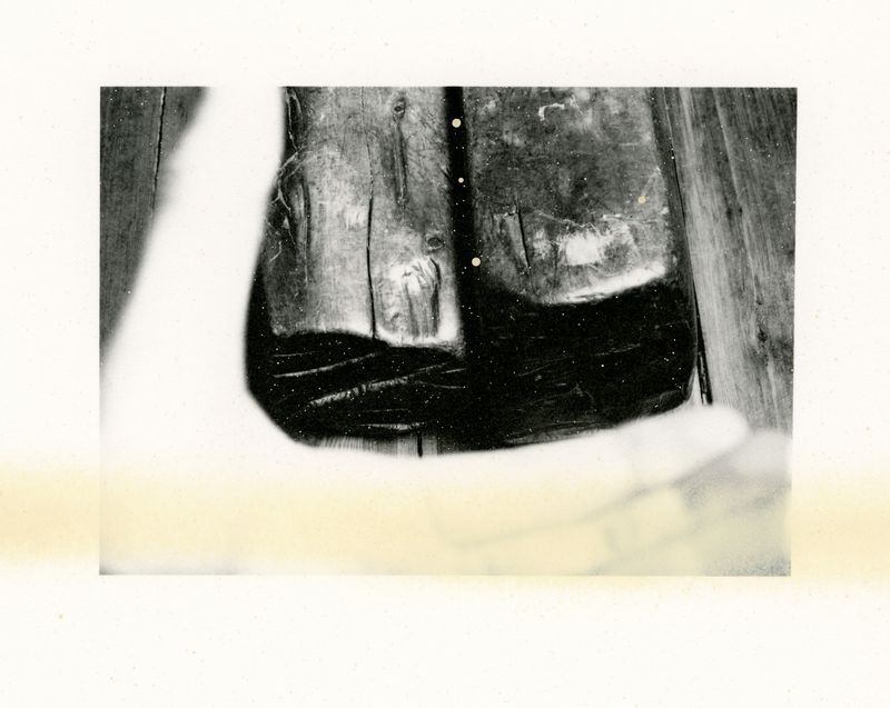 © Deanna Pizzitelli - Wooden Objets, I, 2019, Toned Silver Gelatin Print © Deanna Pizzitelli / Courtesy of Stephen Bulger Gallery