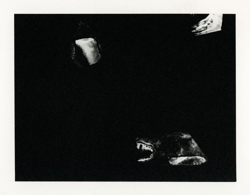 © Deanna Pizzitelli - Object Composite, III, 2019, Toned Silver Gelatin Print © Deanna Pizzitelli / Courtesy of Stephen Bulger Gallery