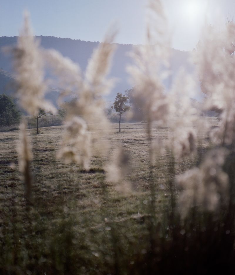 © Berber Theunissen - Texas