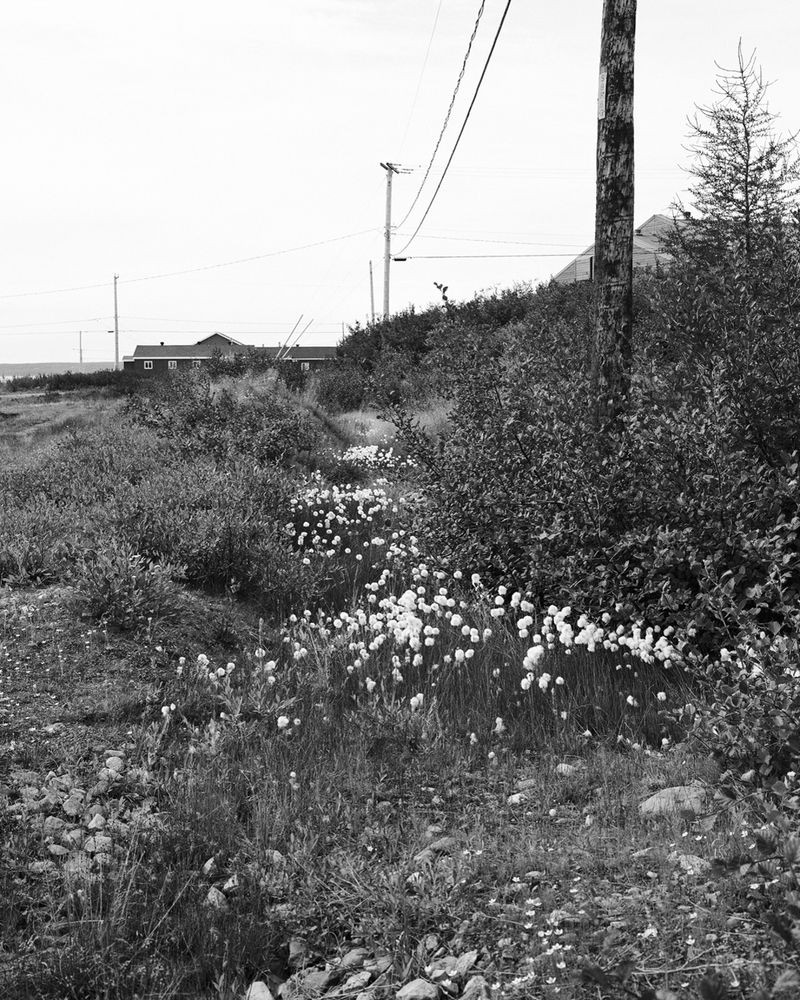 © Josee Schryer - Image from the Chronicles of Shifting Ice photography project