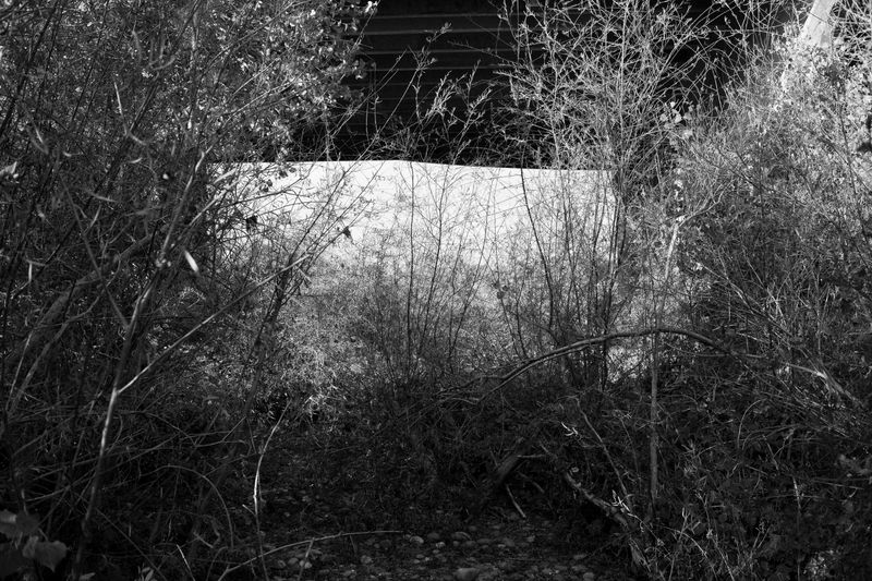 © Phoenix Kanada - Into the Void