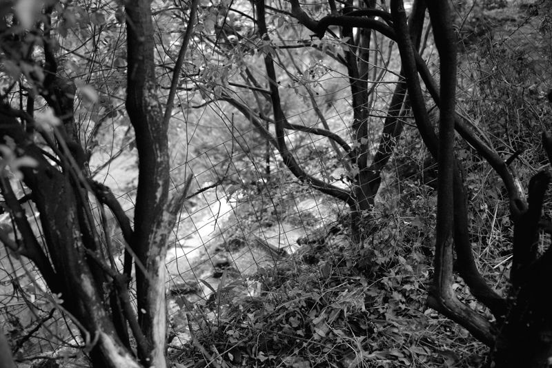 © Phoenix Kanada - Image from the Seven Switchbacks photography project