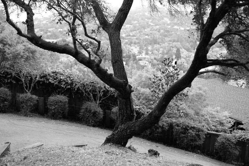 © Phoenix Kanada - Image from the Seven Switchbacks photography project