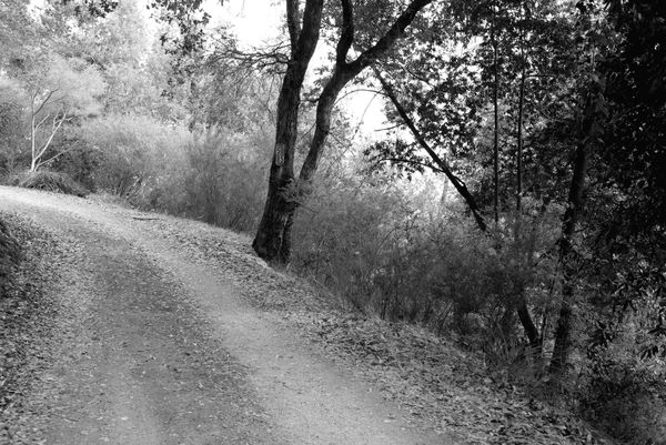 © Phoenix Kanada - Image from the Seven Switchbacks photography project