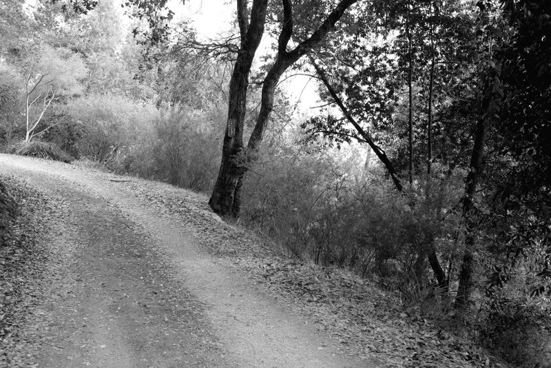 © Phoenix Kanada - Image from the Seven Switchbacks photography project