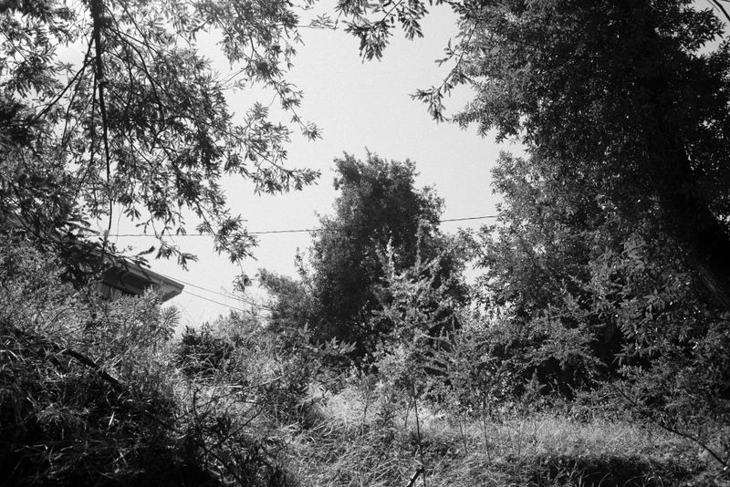 © Phoenix Kanada - Image from the Seven Switchbacks photography project