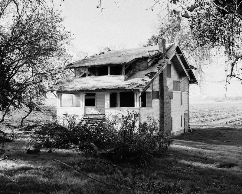 © Phoenix Kanada - Delta House