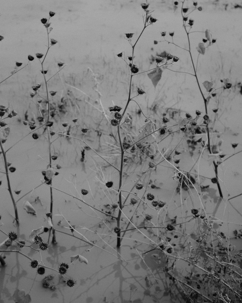 © Phoenix Kanada - Mud and Milk