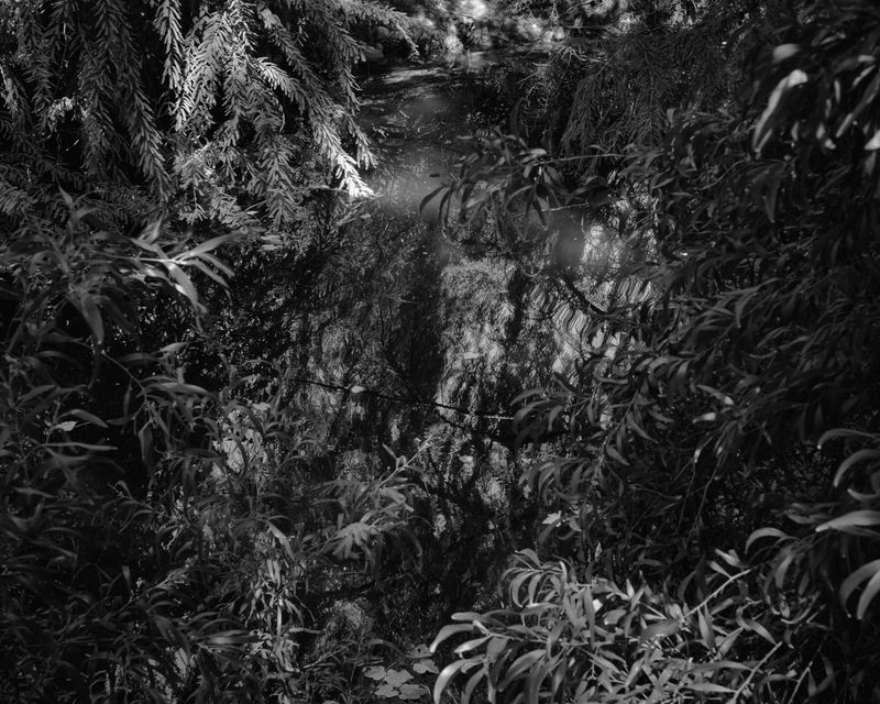 © Phoenix Kanada - Arboretum in Spring