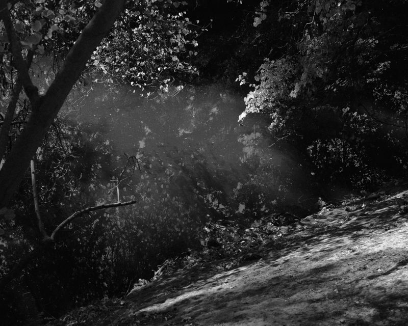 © Phoenix Kanada - Sun Water