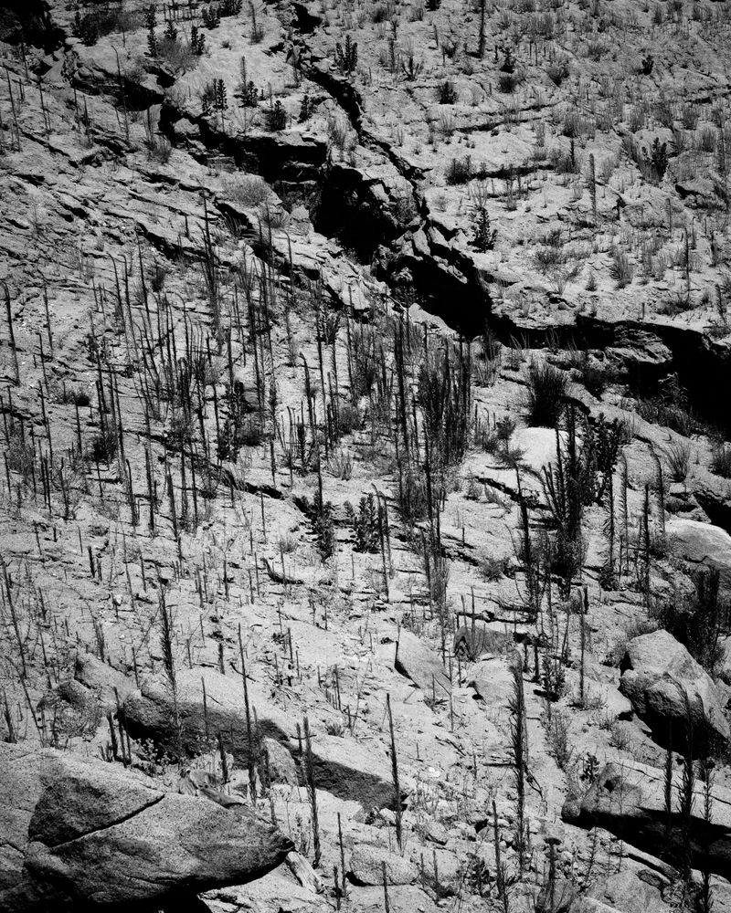 © Phoenix Kanada - Parched and Scarred