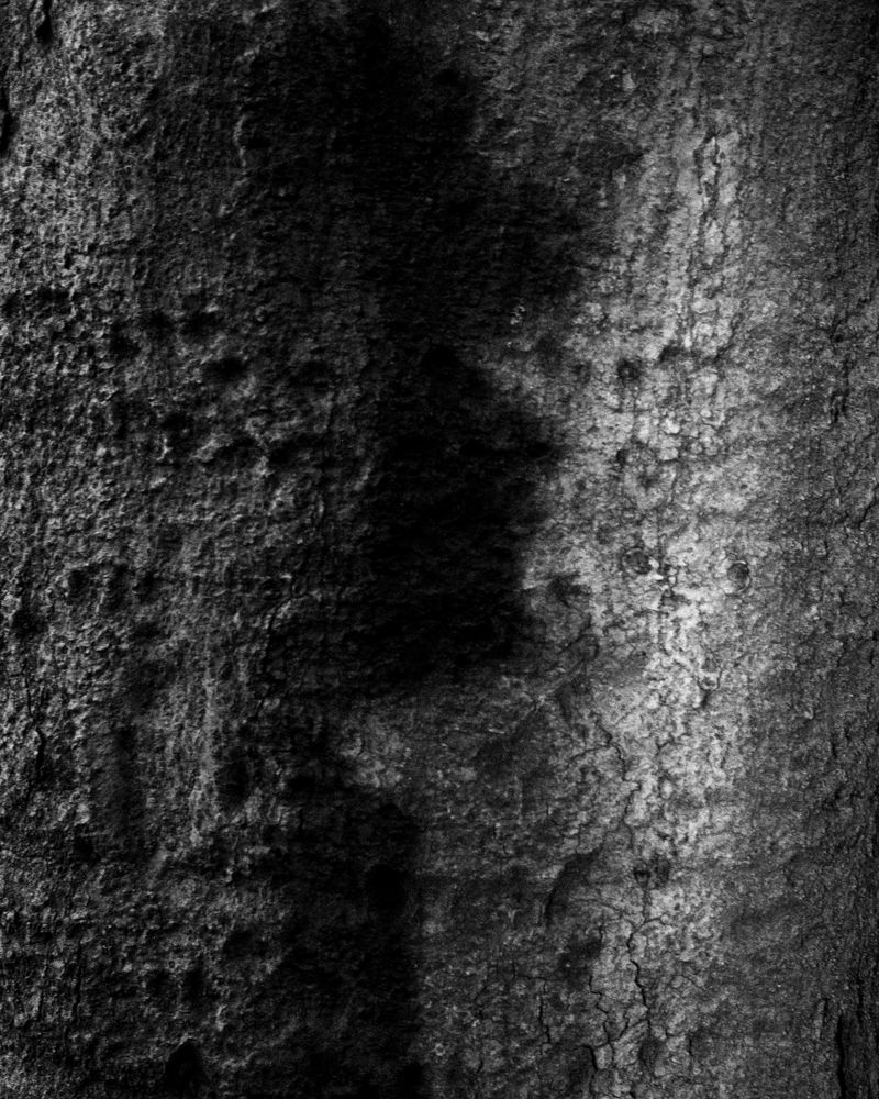 © Phoenix Kanada - Untitled (Fiery Shadows)