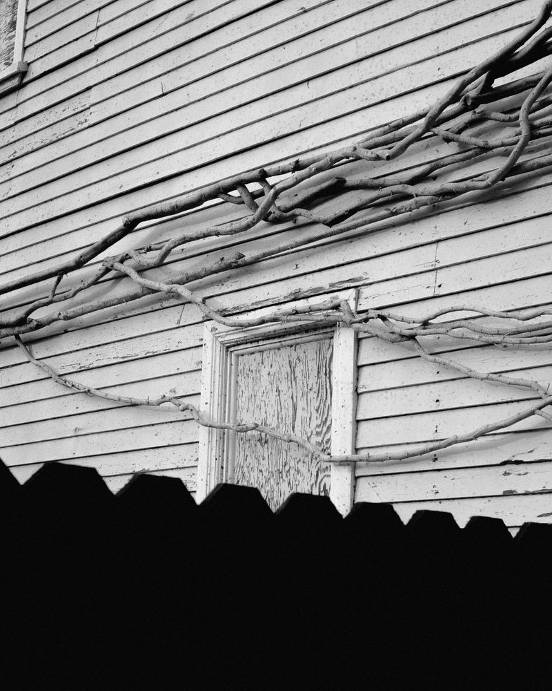 © Phoenix Kanada - Wrapped Around