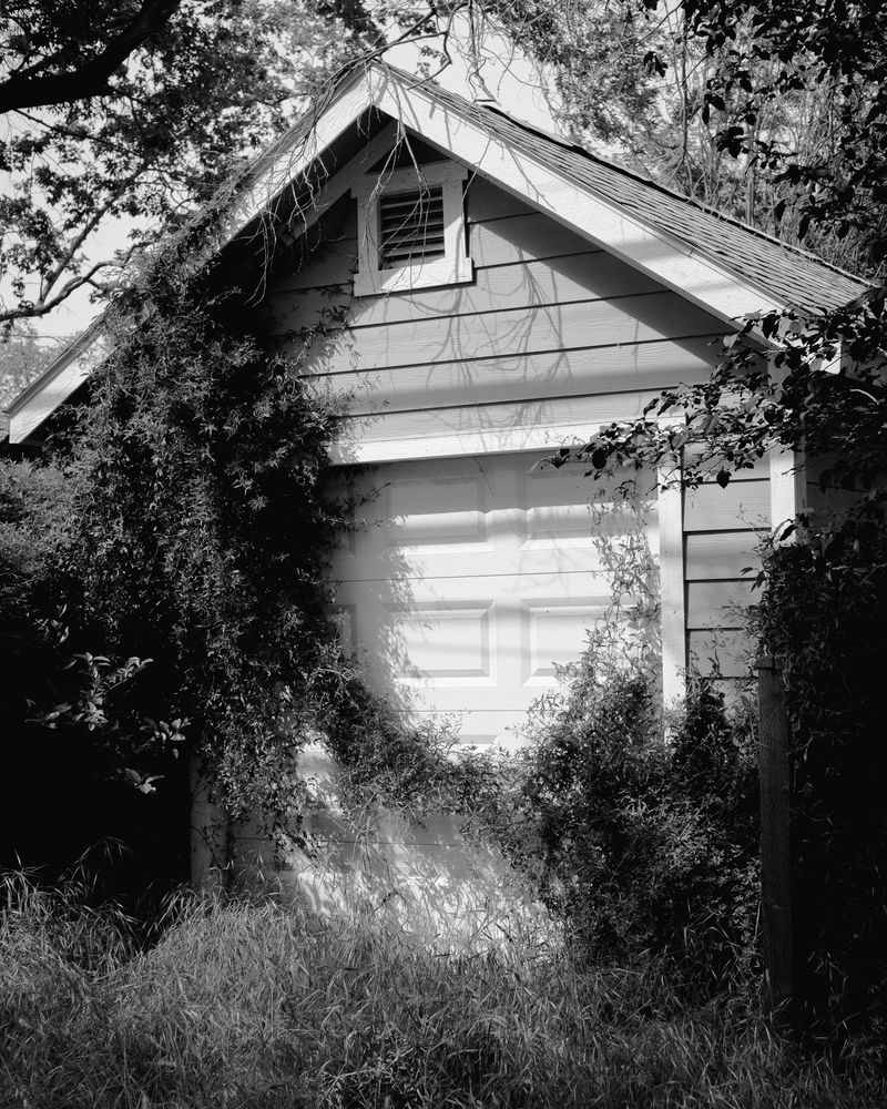 © Phoenix Kanada - Untitled (Spring Sun)