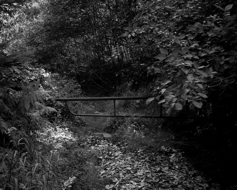 © Phoenix Kanada - Blocked Access Point