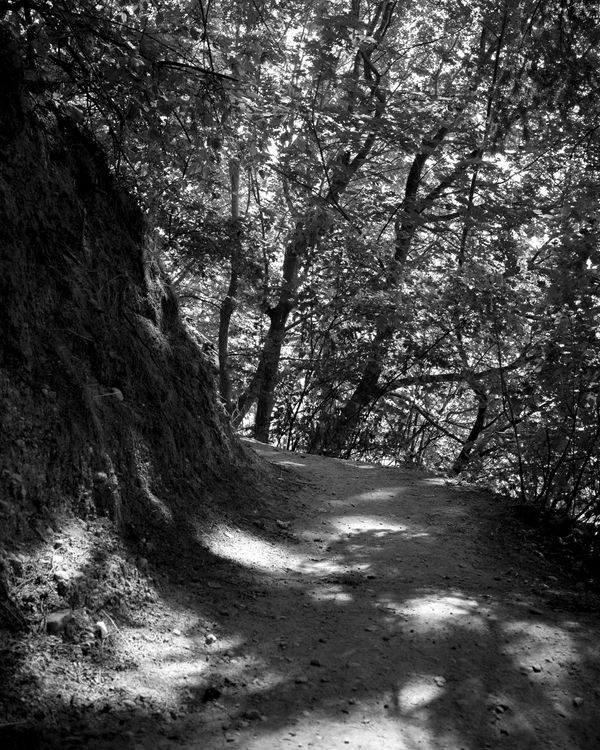 © Phoenix Kanada - What Awaits Around the Bend?