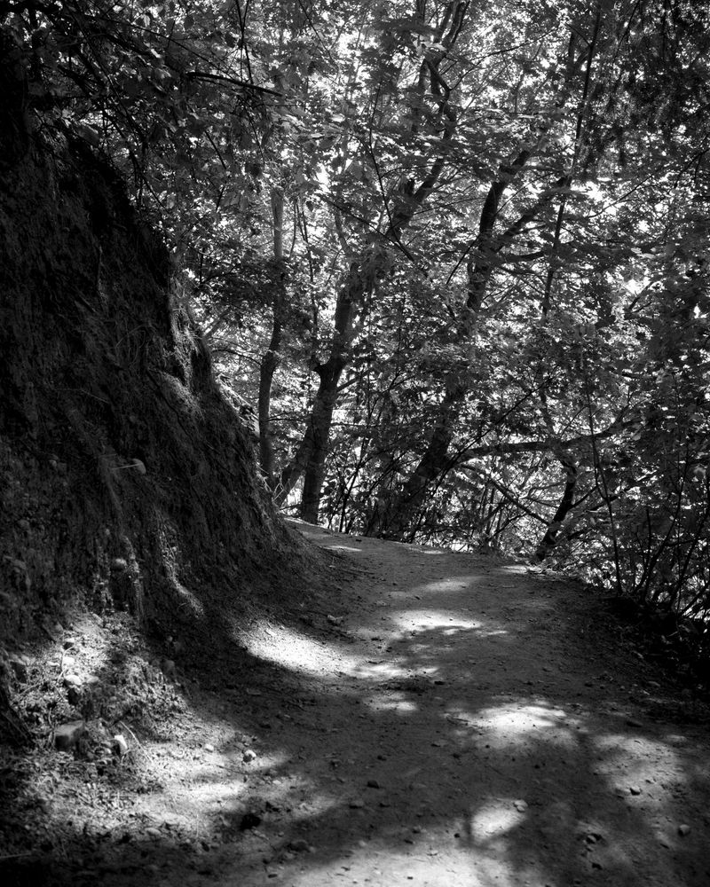 © Phoenix Kanada - What Awaits Around the Bend?