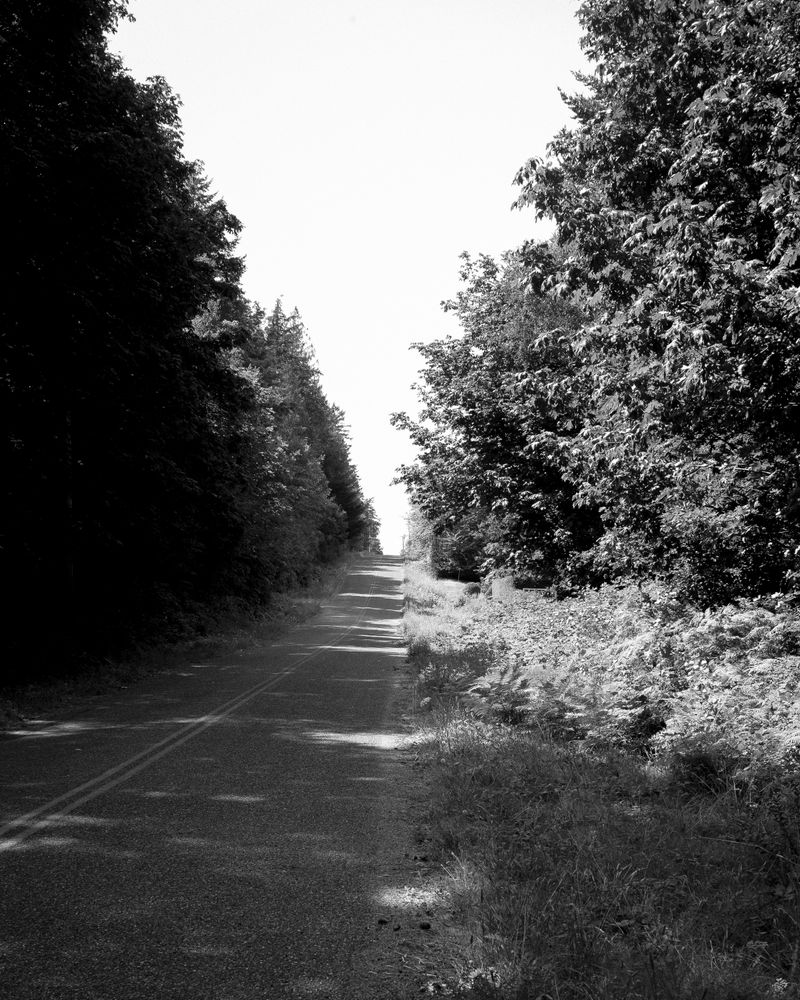 © Phoenix Kanada - Down the Dividing Line