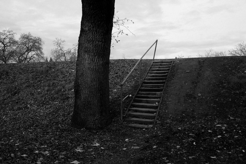 © Phoenix Kanada - Entrance to Another World