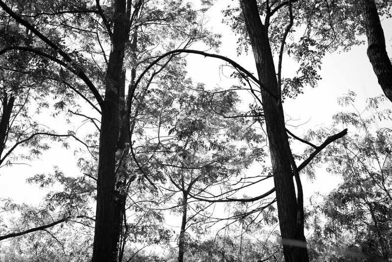 © Phoenix Kanada - Riparian Cycles