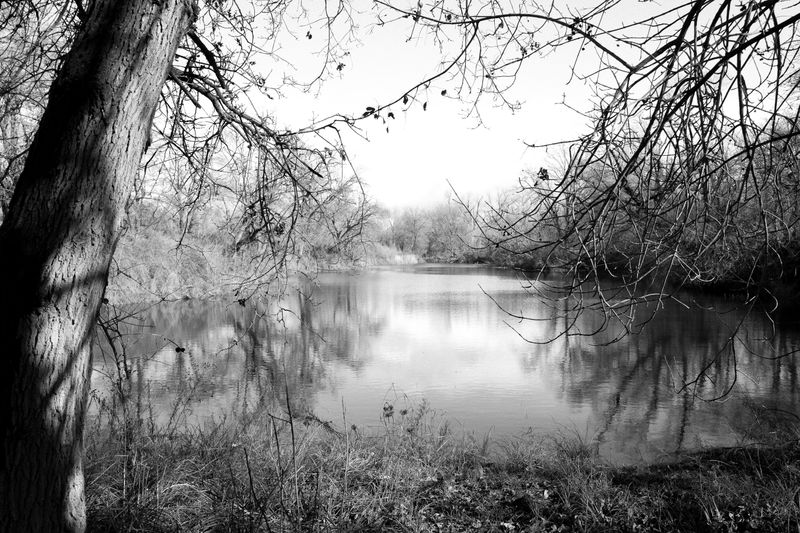 © Phoenix Kanada - The Pond