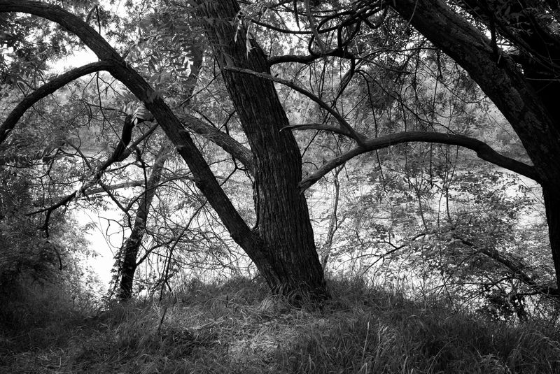 © Phoenix Kanada - On the Edge