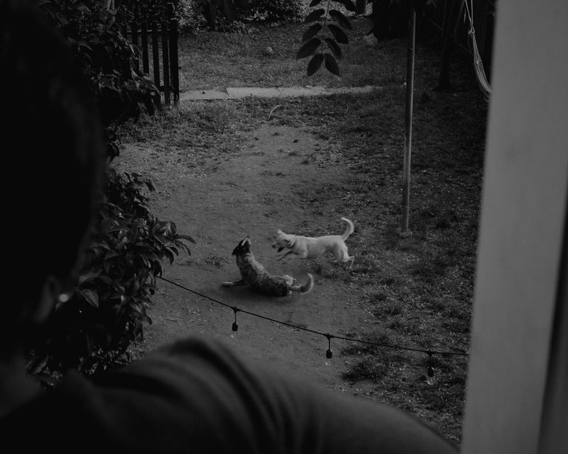 © Phoenix Kanada - Image from the F is for Farewell photography project