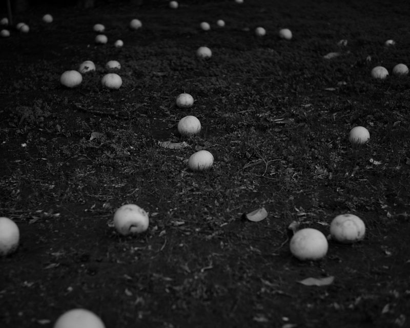 © Phoenix Kanada - Image from the F is for Farewell photography project