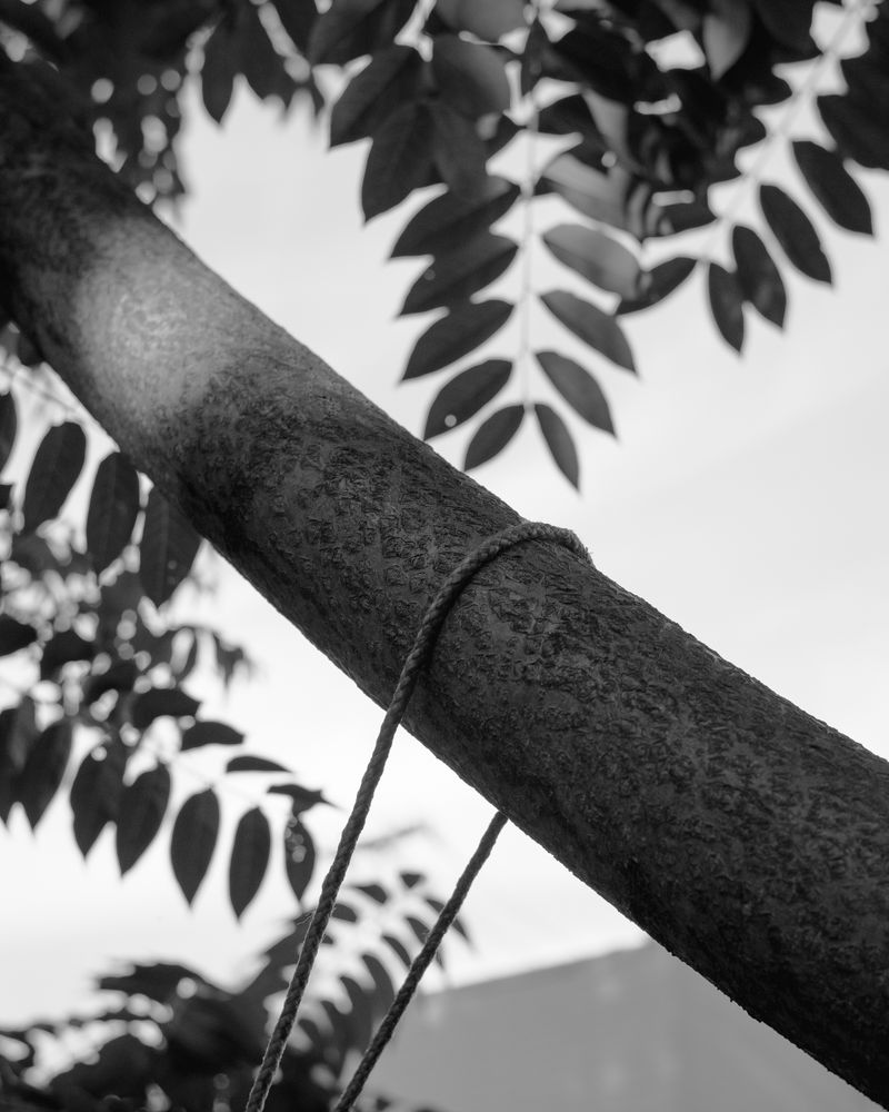 © Phoenix Kanada - Image from the F is for Farewell photography project