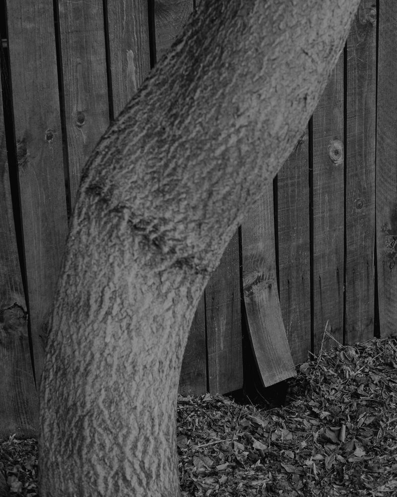 © Phoenix Kanada - Image from the F is for Farewell photography project