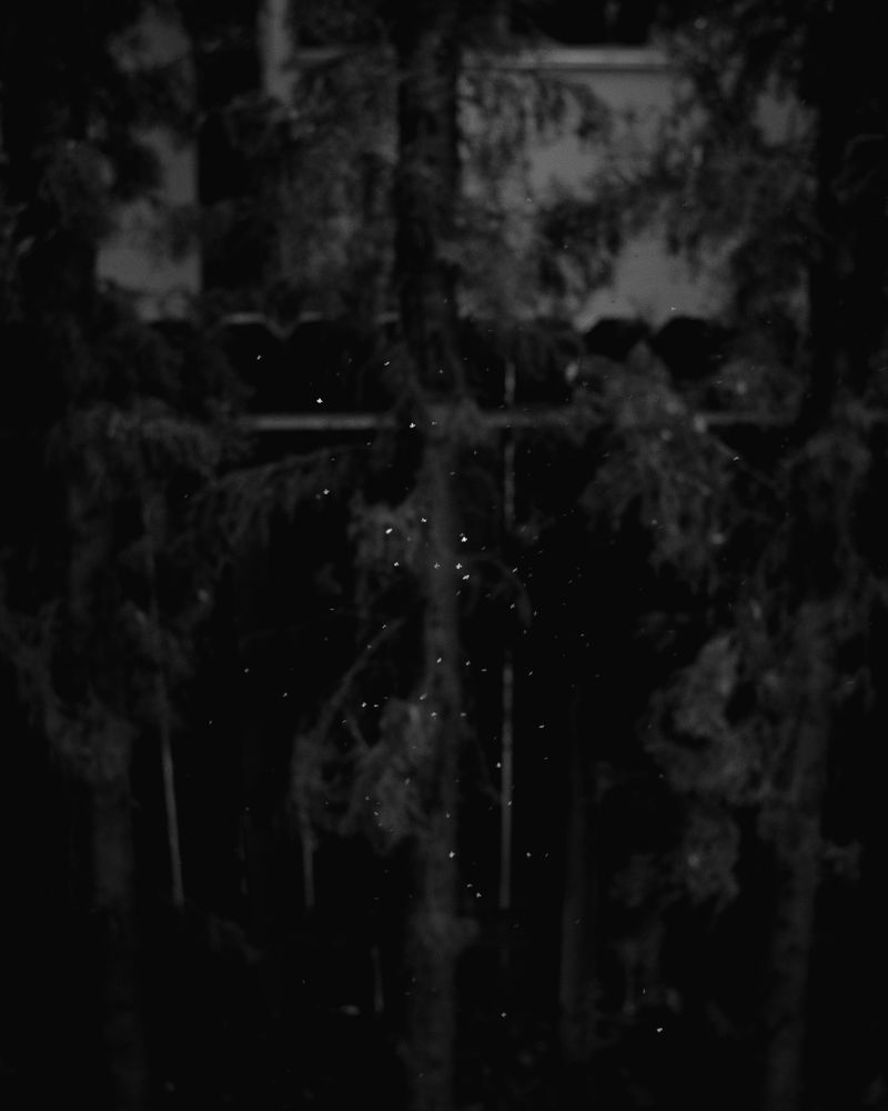 © Phoenix Kanada - Image from the F is for Farewell photography project