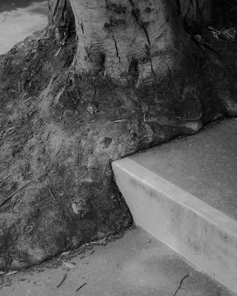 © Phoenix Kanada - Image from the F is for Farewell photography project