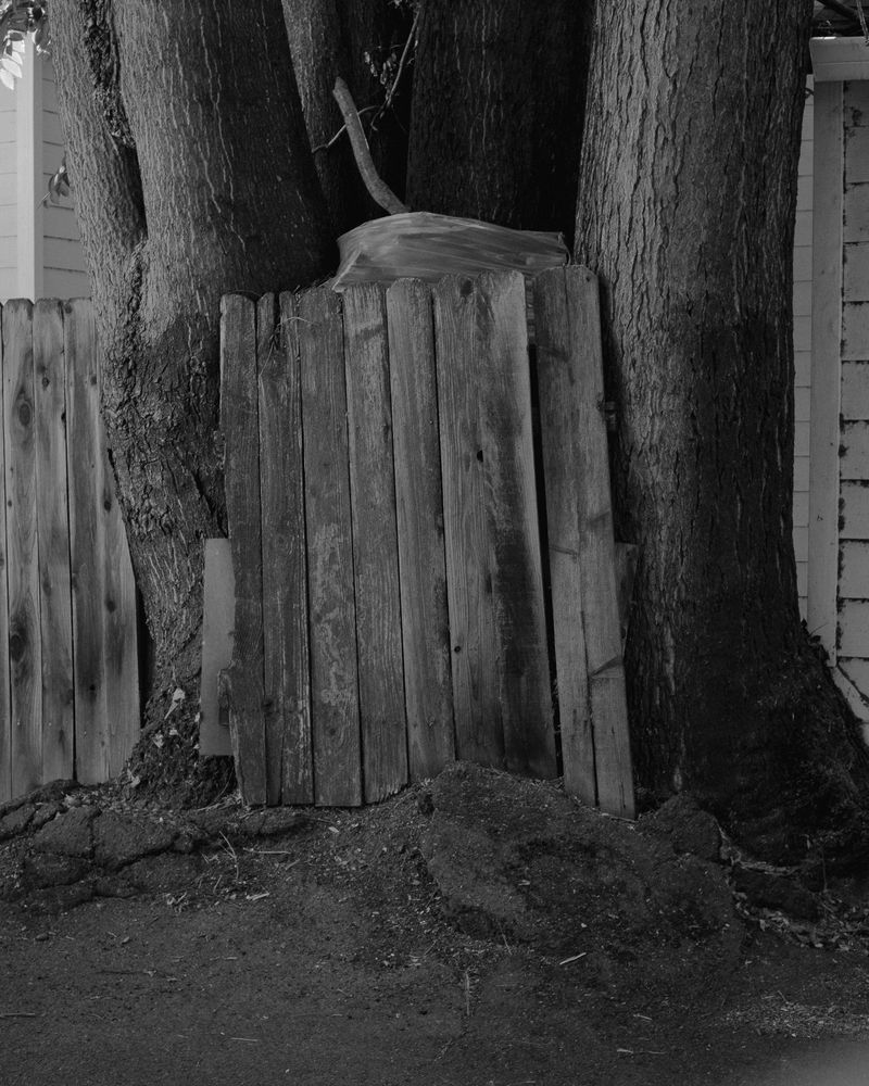 © Phoenix Kanada - Image from the F is for Farewell photography project